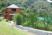 Shivanandi River Lodge