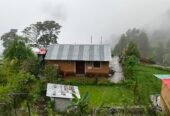 Amore Mountain Agro Farm