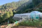 Amore Mountain Agro Farm